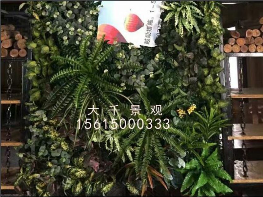 點擊查看詳細信息<br>標題：綠植墻 閱讀次數：1123